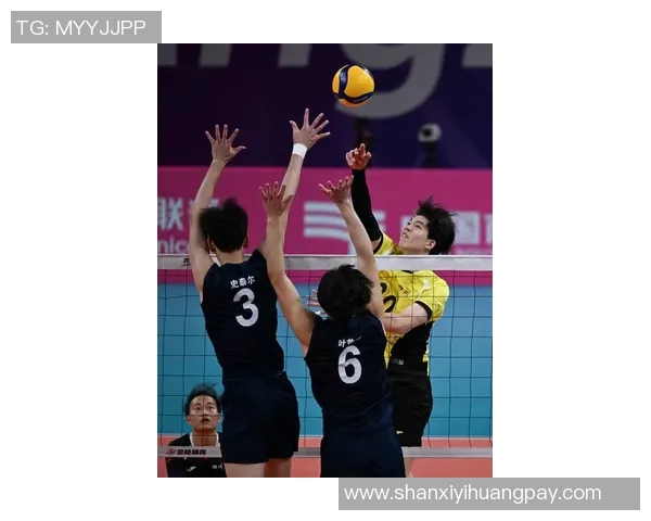 杭州排球队在排球节奏排名中创历史新高展现强劲实力与团队合作精神