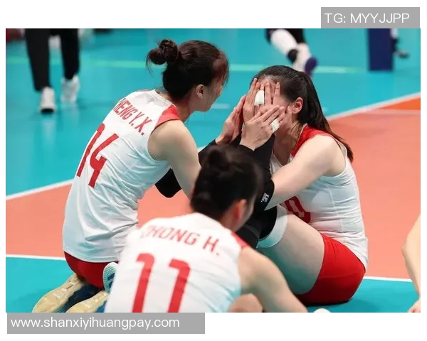 杭州排球队的奋斗历程与荣耀时刻全景纪实