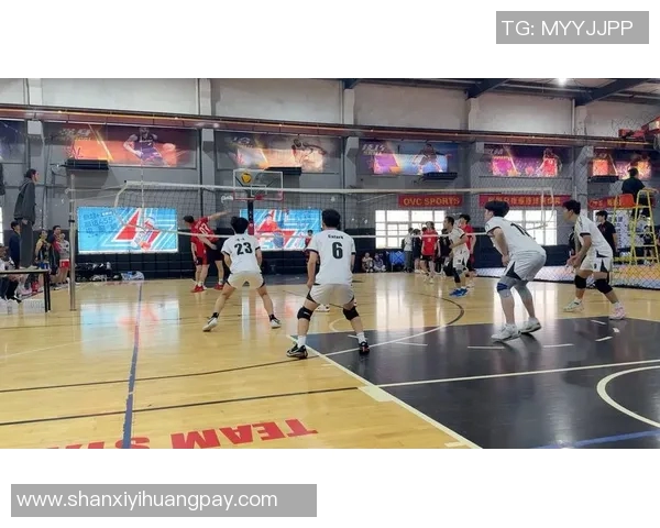 杭州排球队比赛经验的创新与变革引发热议