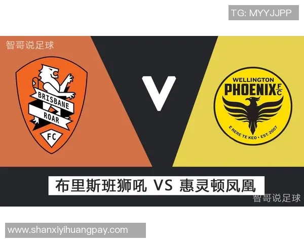 惠灵顿凤凰迎战布里斯班狮吼期待精彩对决与激烈碰撞