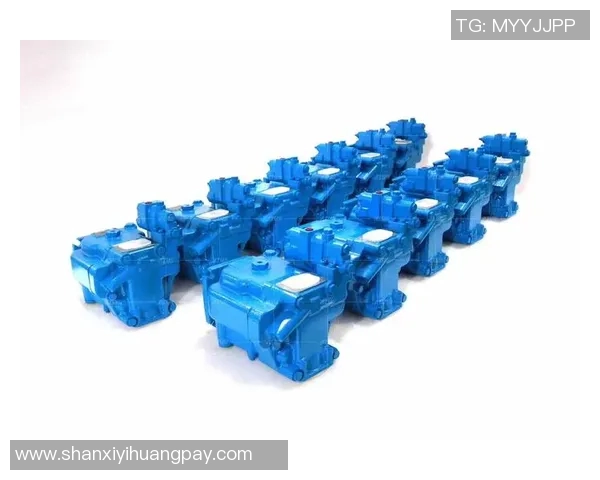 陀江级VS022战舰性能解析与未来发展趋势探讨