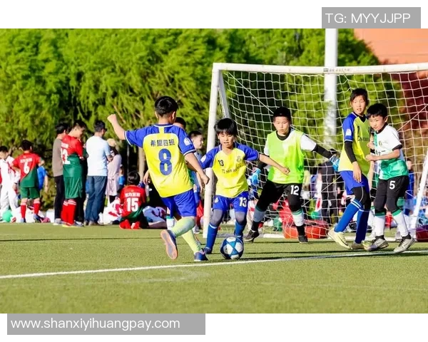 美职篮狂热与梦想的对决：激情碰撞下的篮球传奇与未来希望