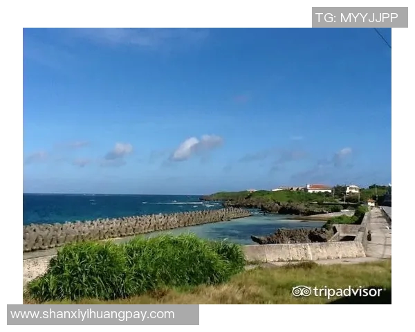 岐阜与德岛的对决分析及赛季表现比较探讨