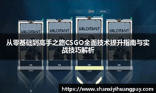从零基础到高手之路CSGO全面技术提升指南与实战技巧解析