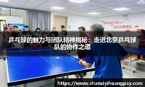 jinnianhui金年会